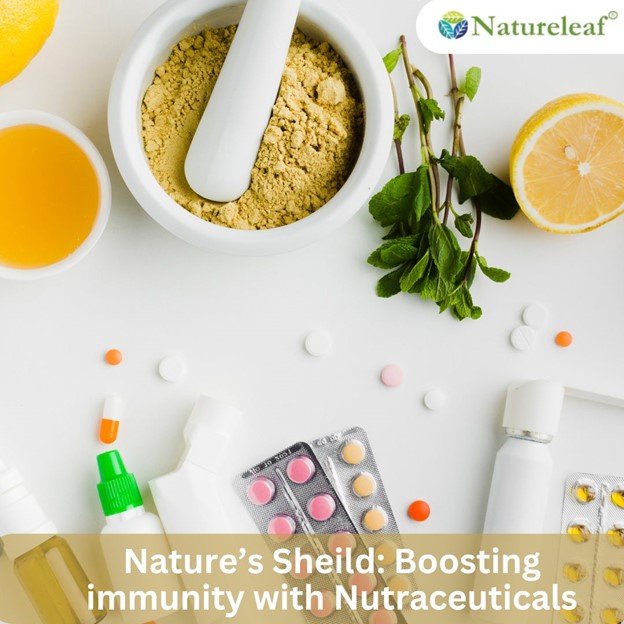 5 Essential Nutraceuticals for Healthy Aging 1